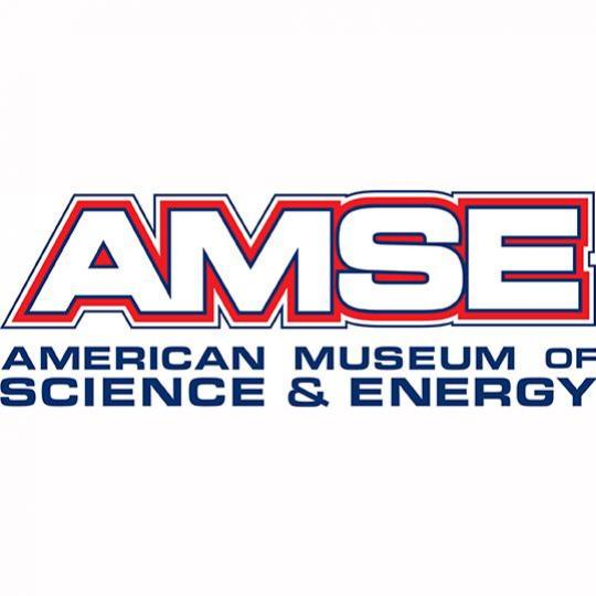 AMSE Logo